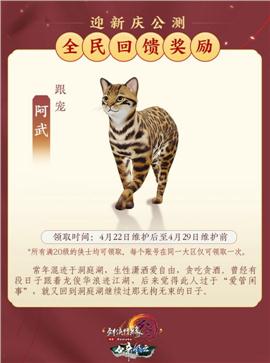 天龙八部私服金骨盾外观修改